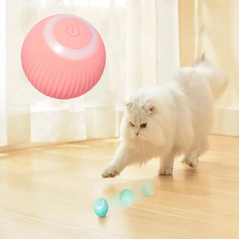 Purrfect Playmate - Electric Cat Ball